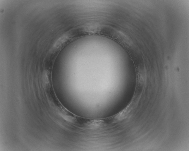 X0000071960128200607141444