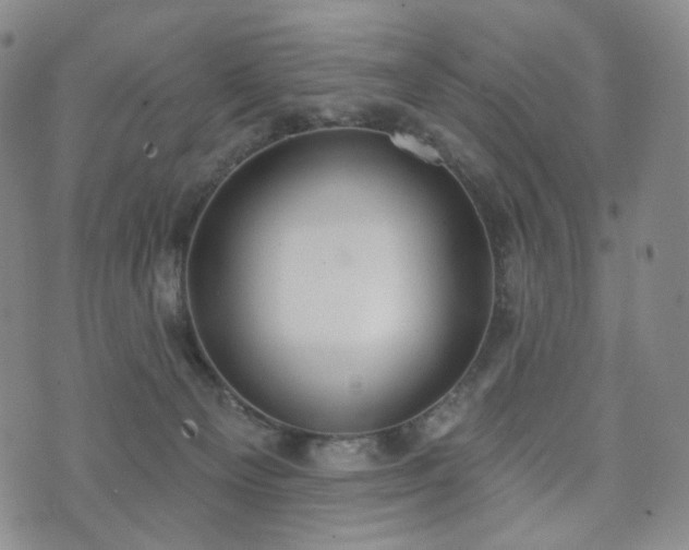 X0000071960129200607141444