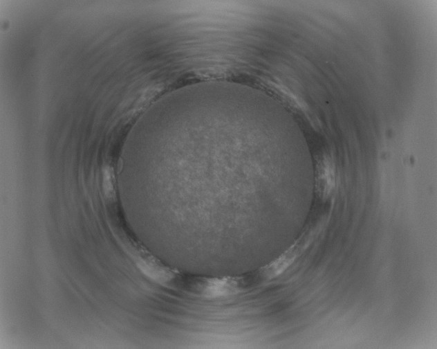 X0000071960130200607141444