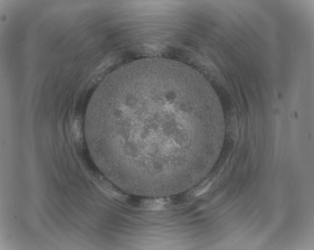 X0000071960131200607141444