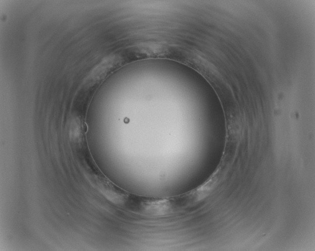 X0000071960132200607141444