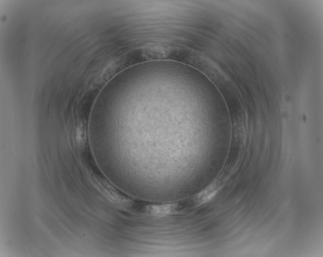 X0000071960134200607141444