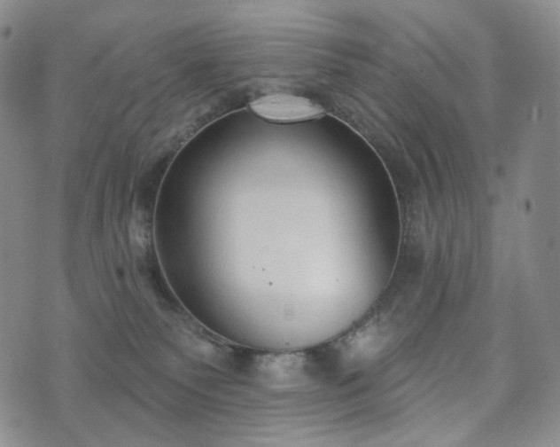 X0000071960135200607141444