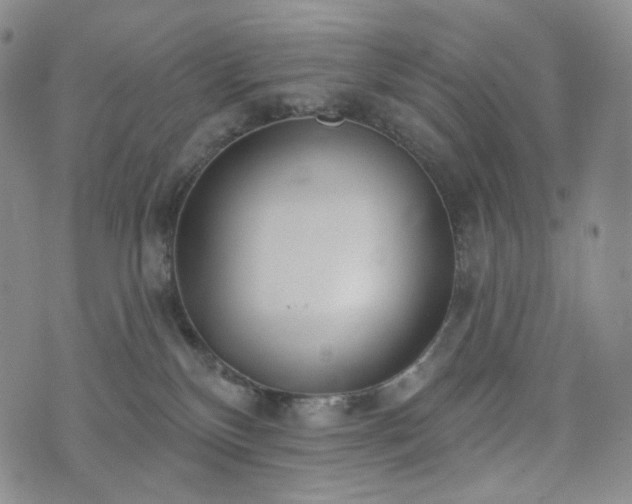 X0000071960136200607141444