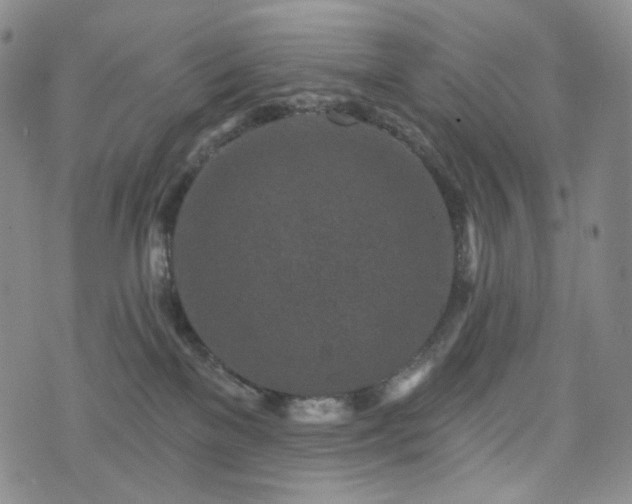 X0000071960137200607141444