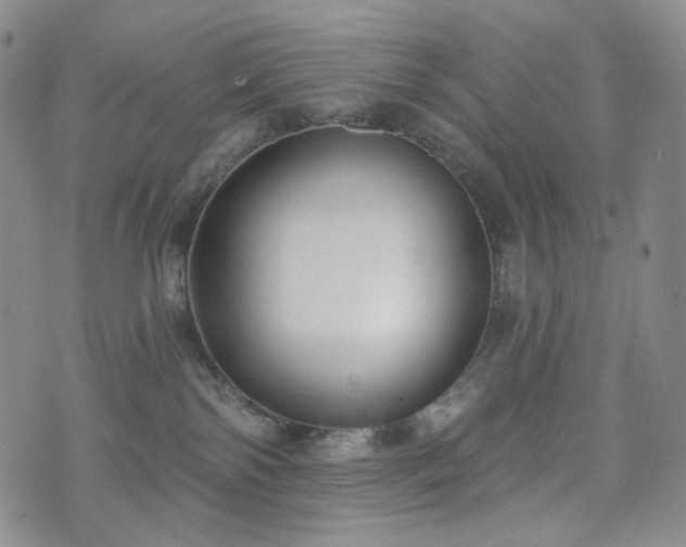 X0000071960138200607141444