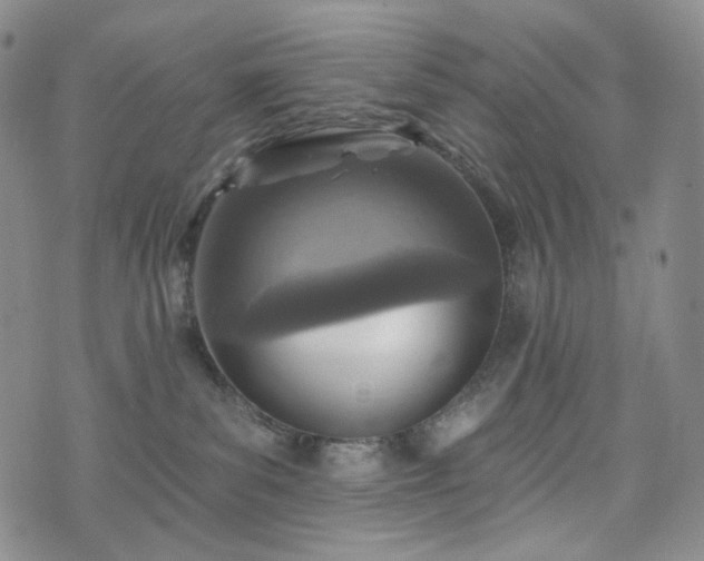 X0000071960139200607141444