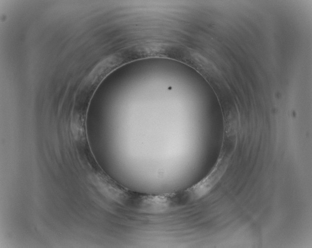 X0000071960140200607141444