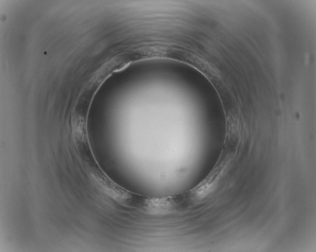 X0000071960141200607141444