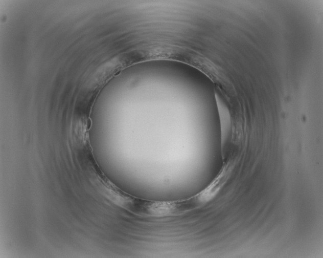 X0000071960142200607141444