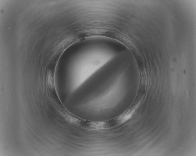 X0000071960143200607141444