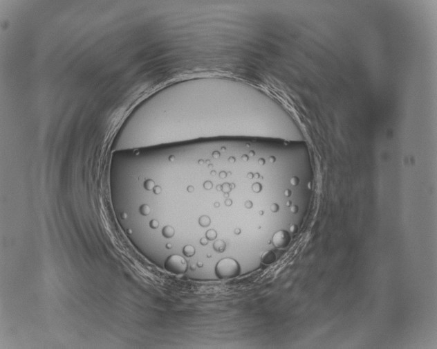 X0000071960145200607141443