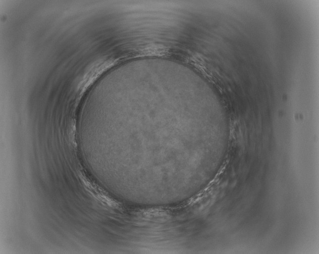 X0000071960146200607141443