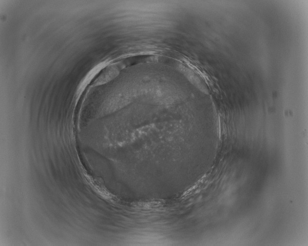 X0000071960147200607141443