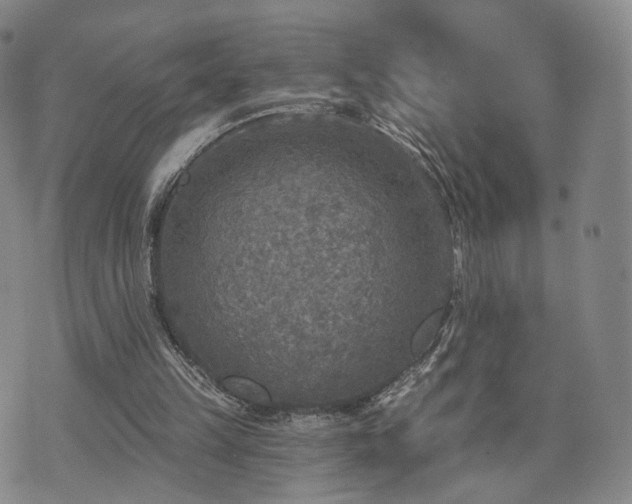 X0000071960149200607141443