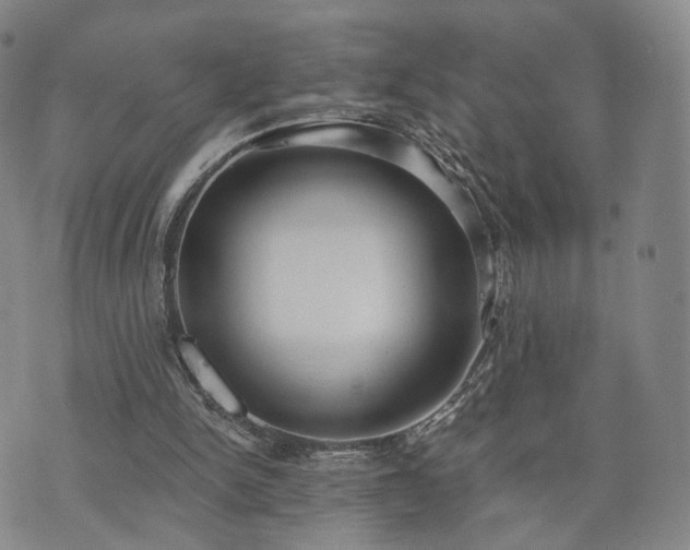 X0000071960150200607141443