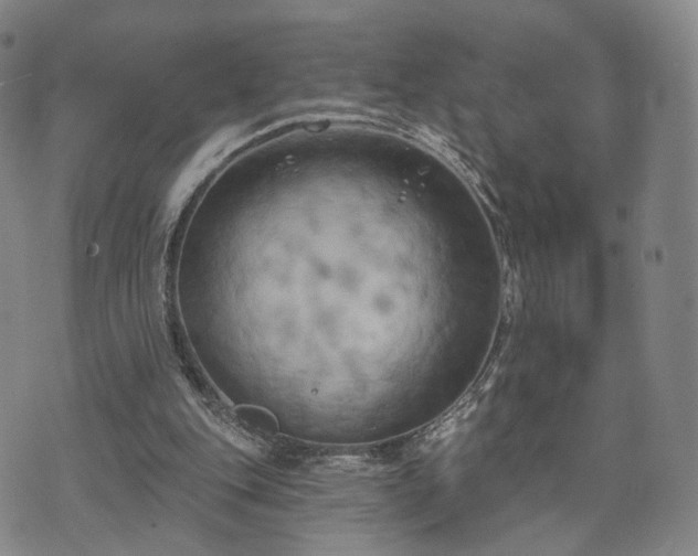 X0000071960151200607141443