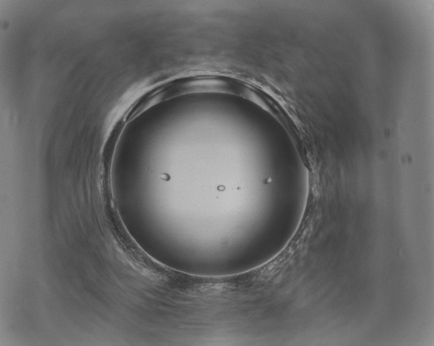 X0000071960152200607141443