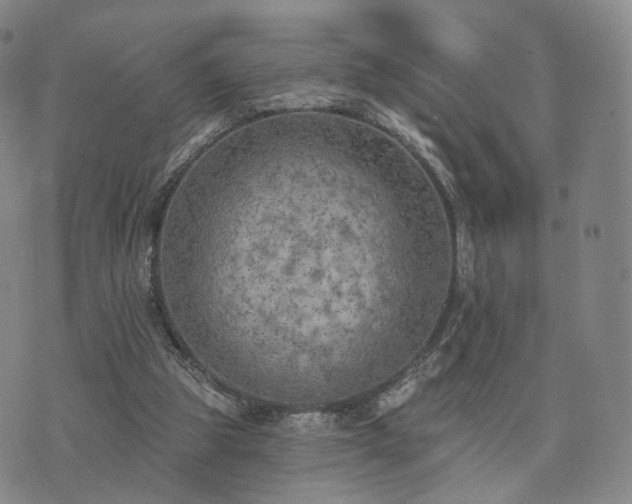 X0000071960153200607141443