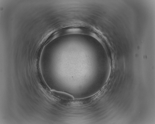 X0000071960154200607141443