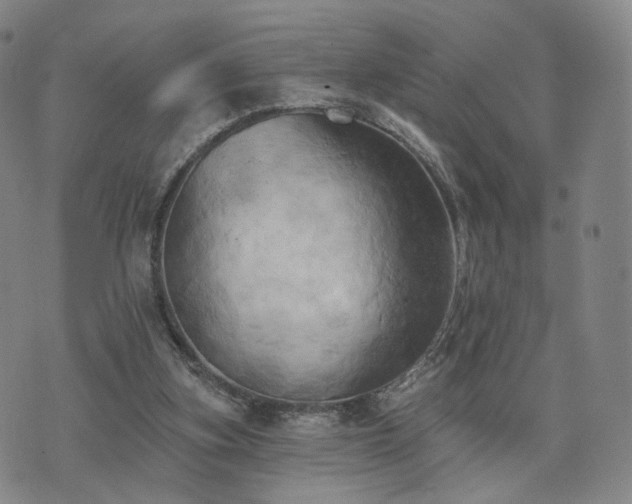 X0000071960155200607141443