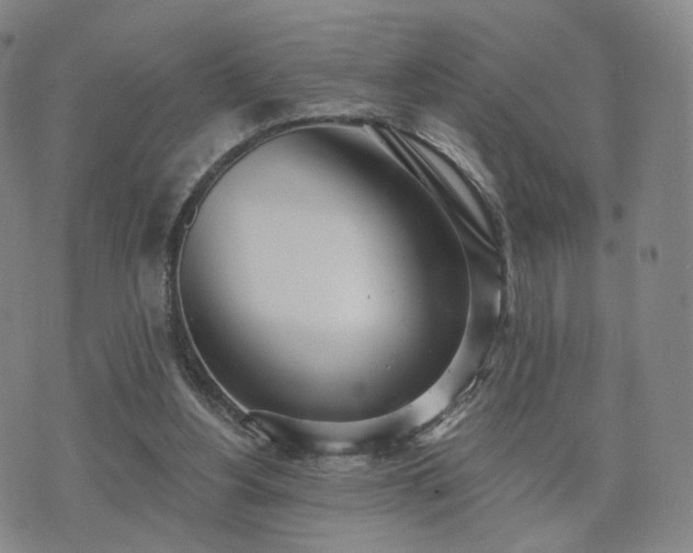 X0000071960156200607141443