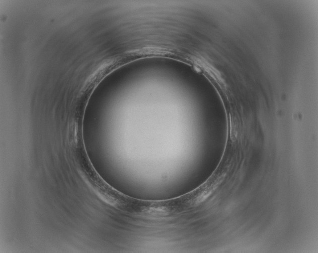 X0000071960157200607141443