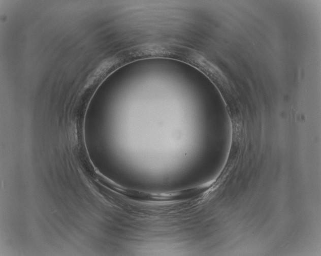 X0000071960158200607141443