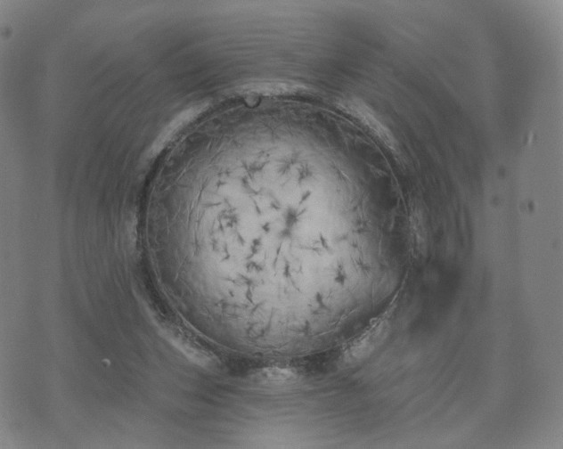 X0000071960159200607141443