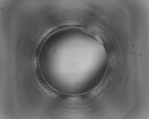 X0000071960160200607141443