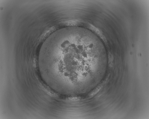 X0000071960161200607141443