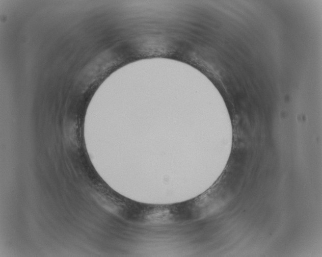 X0000071960162200607141443