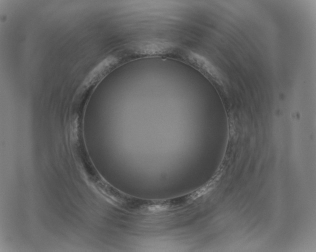 X0000071960163200607141443