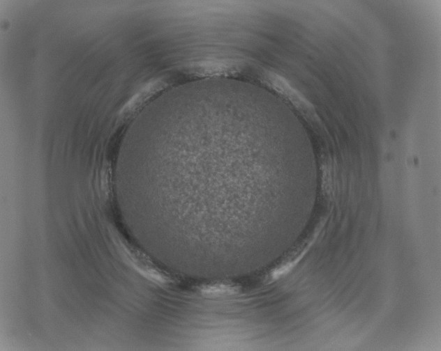 X0000071960165200607141443