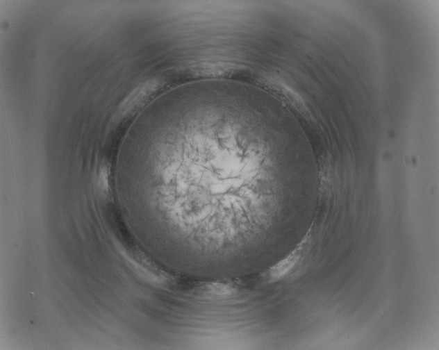 X0000071960166200607141443