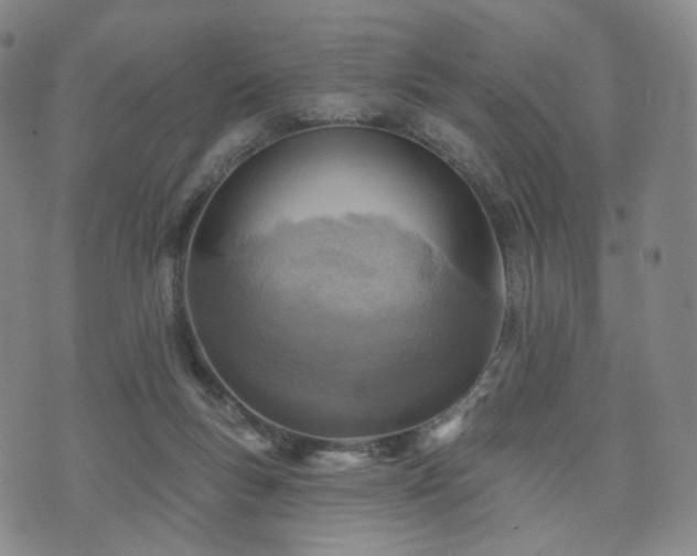 X0000071960167200607141443