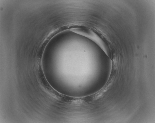 X0000071960168200607141443