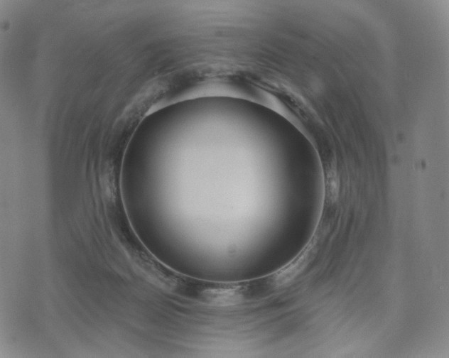 X0000071960170200607141443