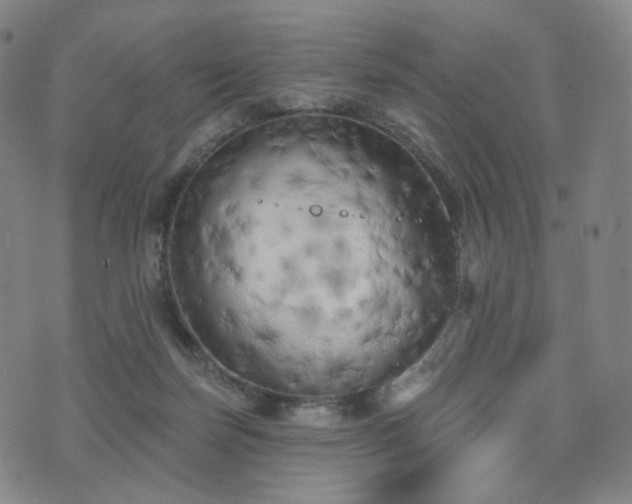 X0000071960171200607141443