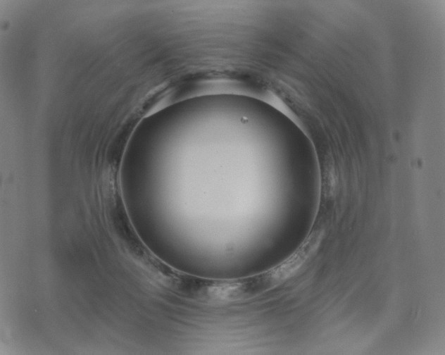 X0000071960172200607141443