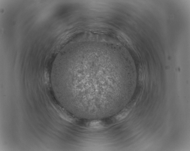 X0000071960173200607141443