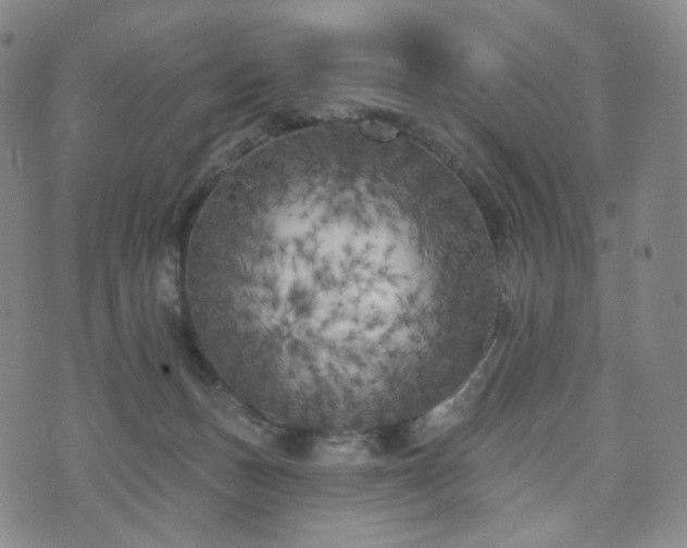 X0000071960175200607141443