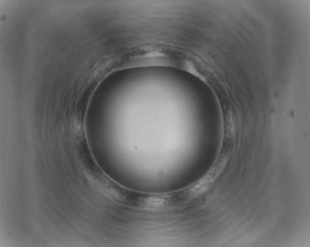 X0000071960176200607141443