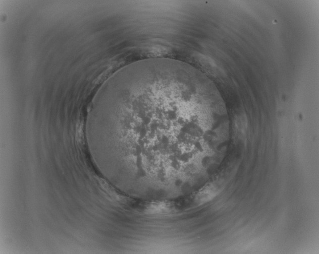 X0000071960177200607141443