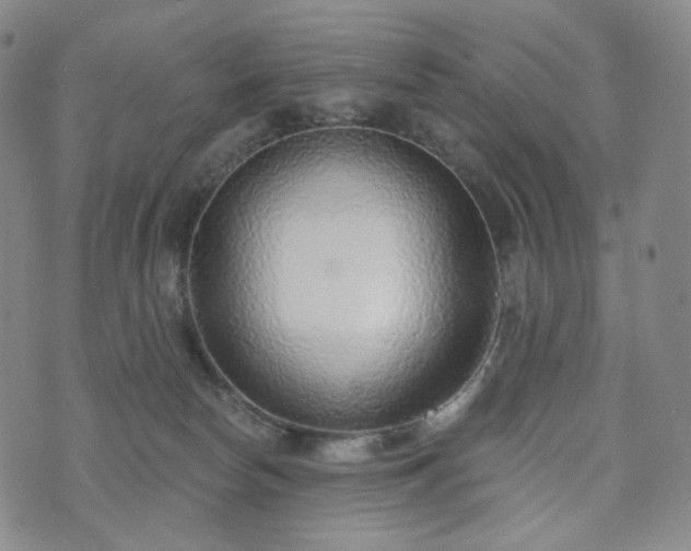 X0000071960178200607141443