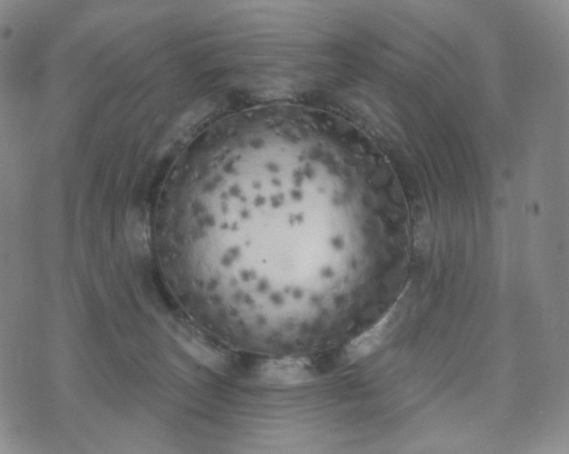 X0000071960179200607141443