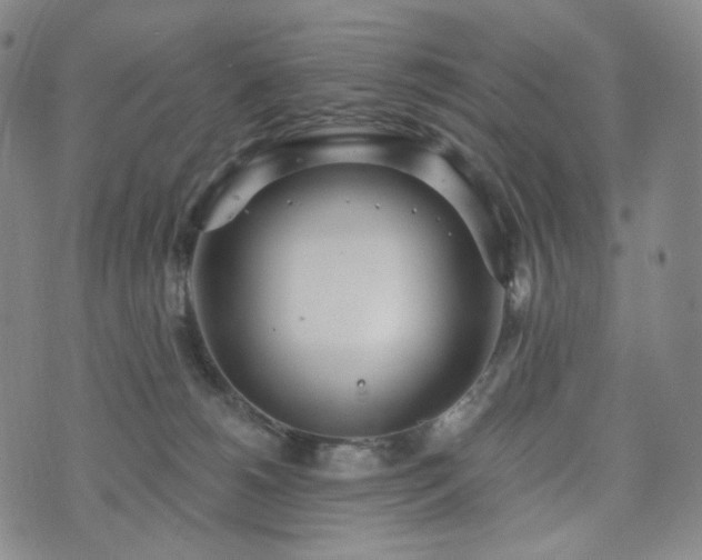 X0000071960180200607141443