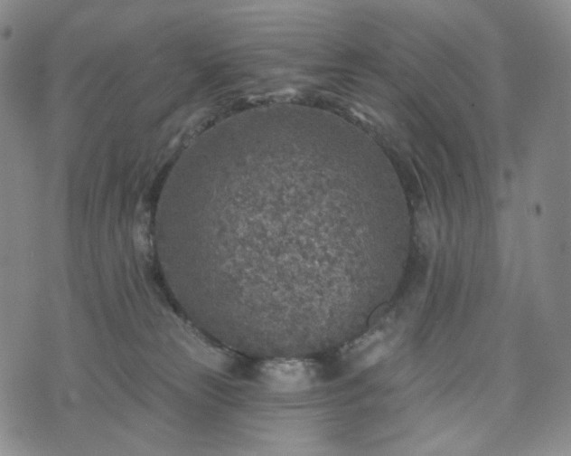 X0000071960181200607141443