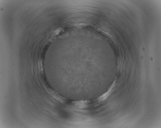 X0000071960182200607141443