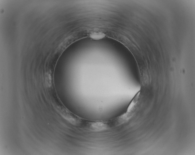 X0000071960183200607141443